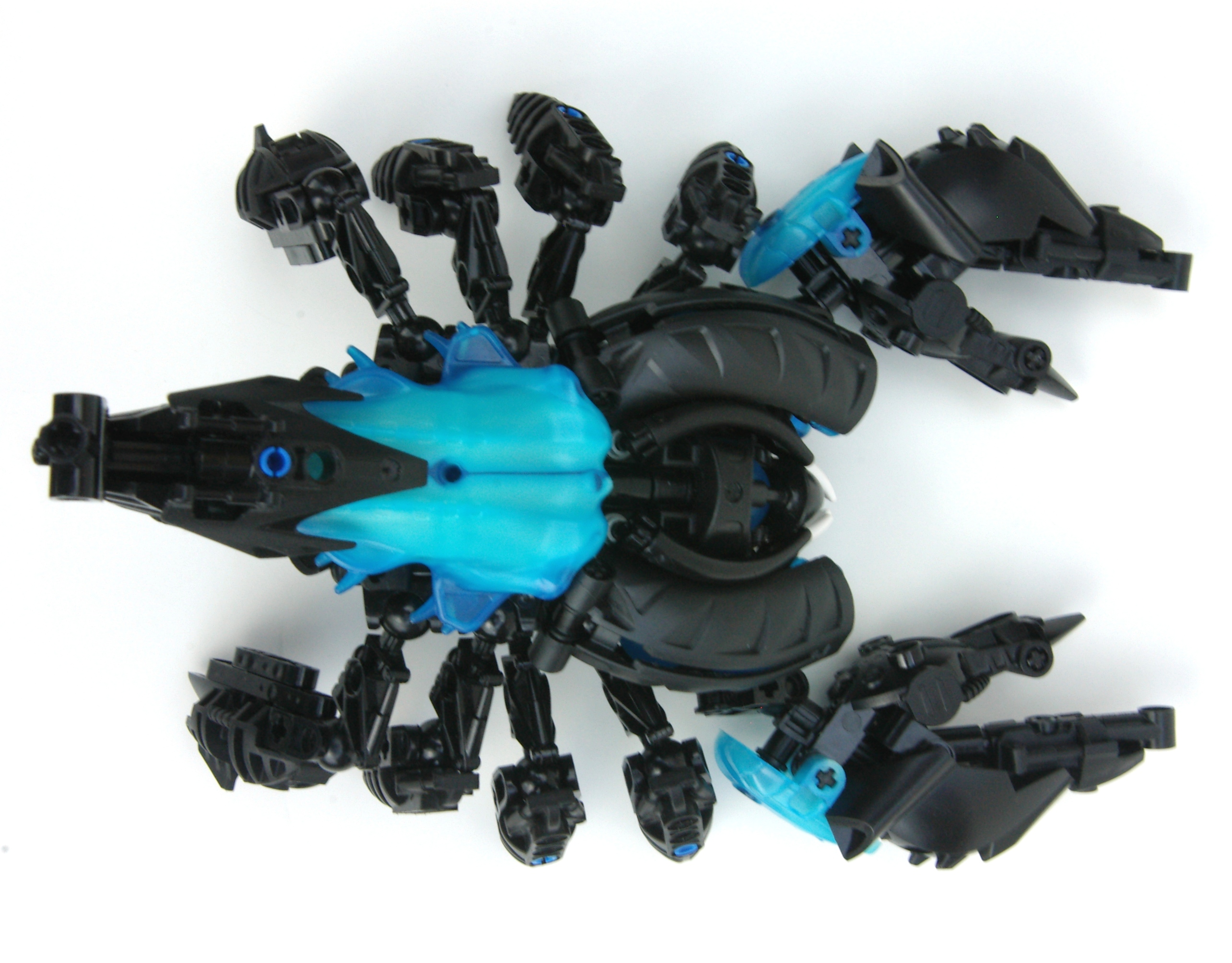 scorpion_6.jpg