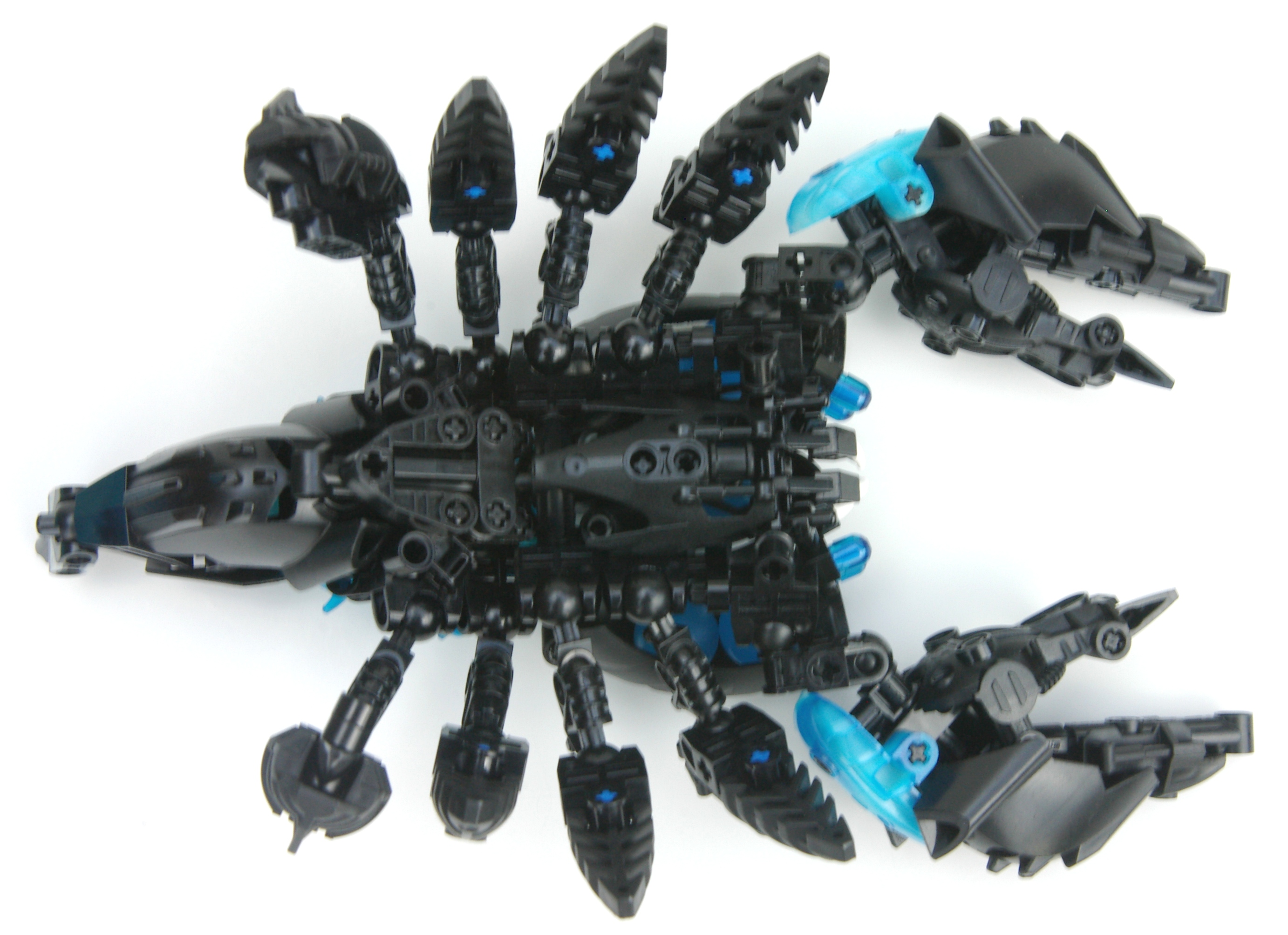 scorpion_7.jpg