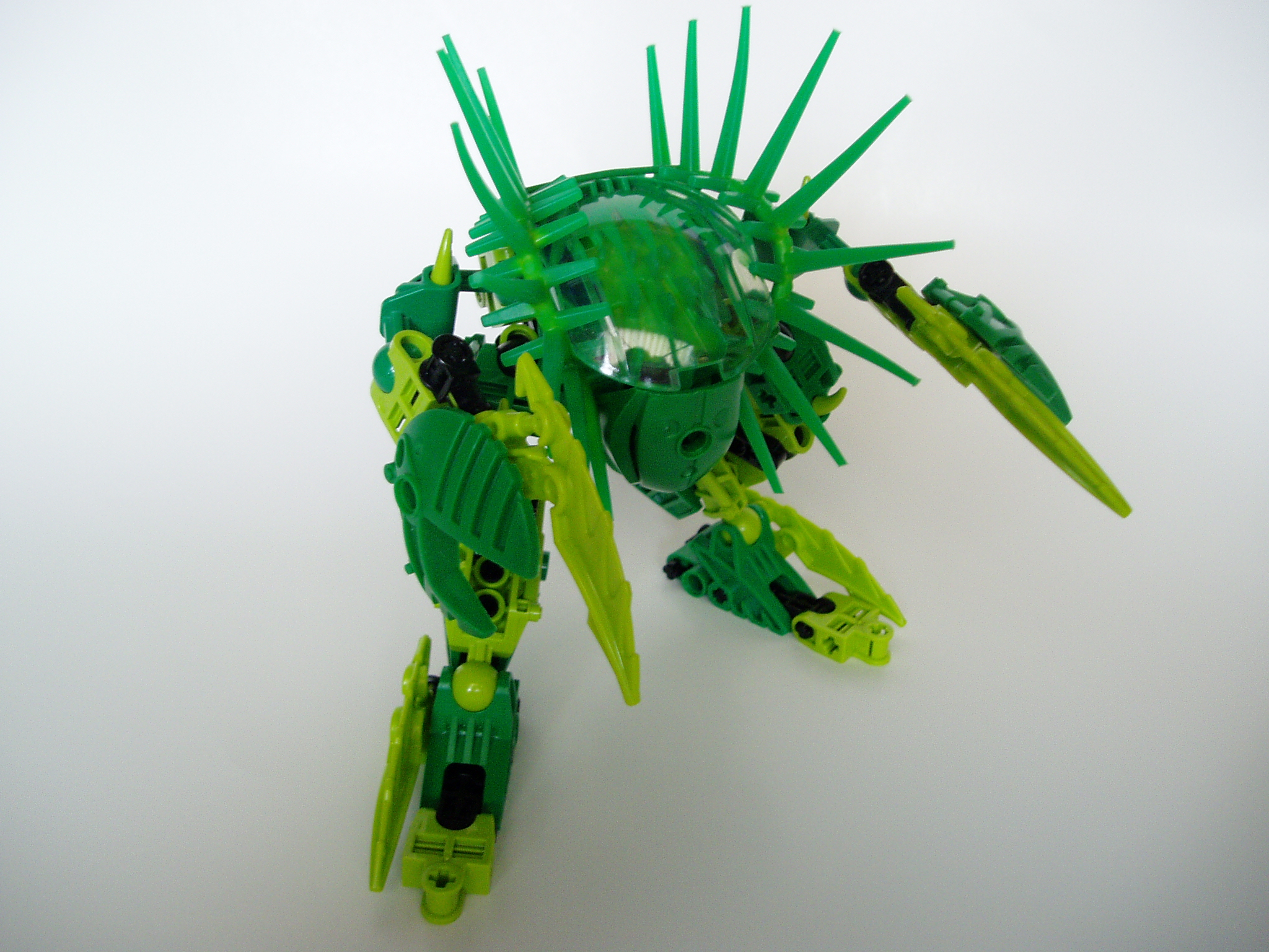 p1010435.jpg