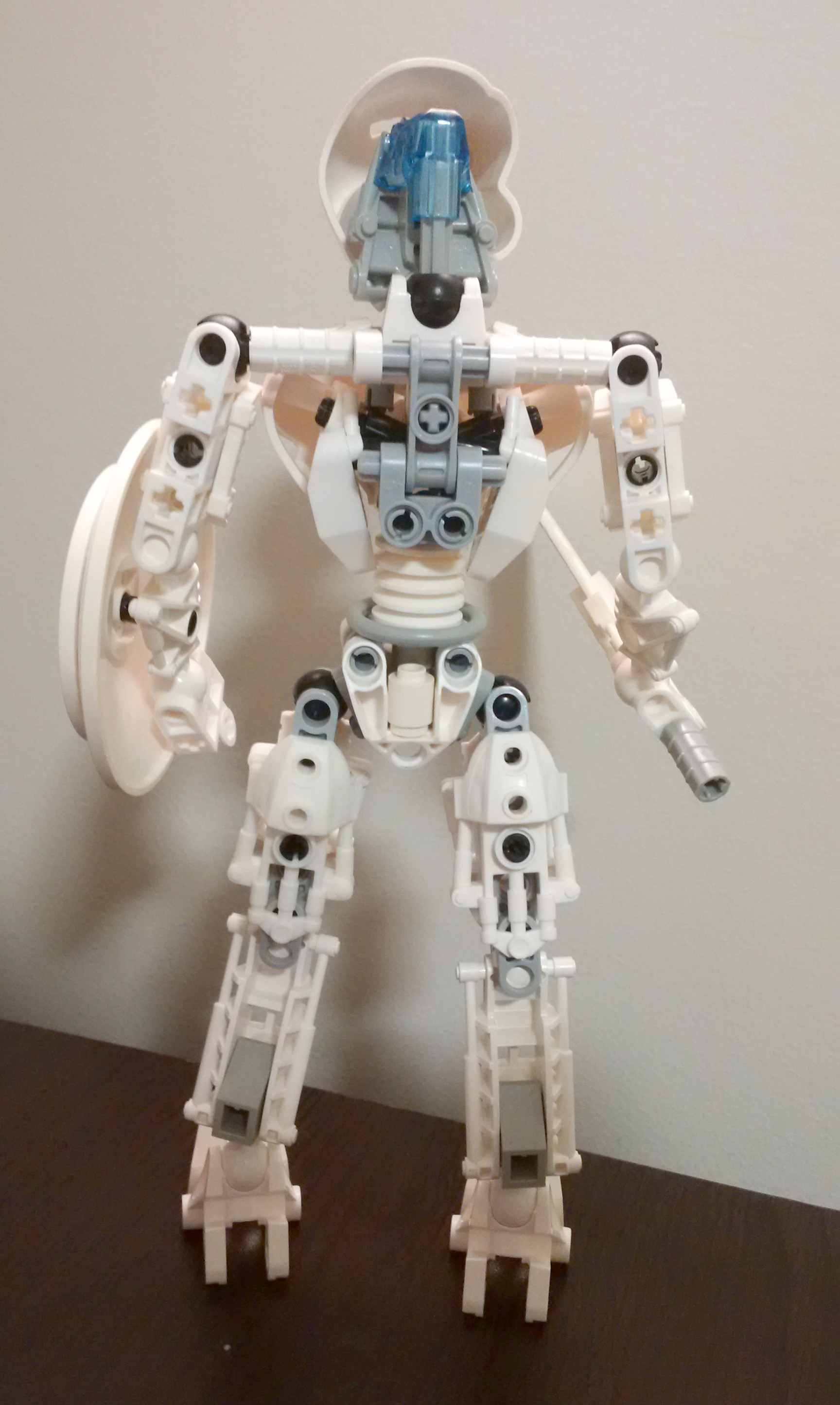 back.jpg