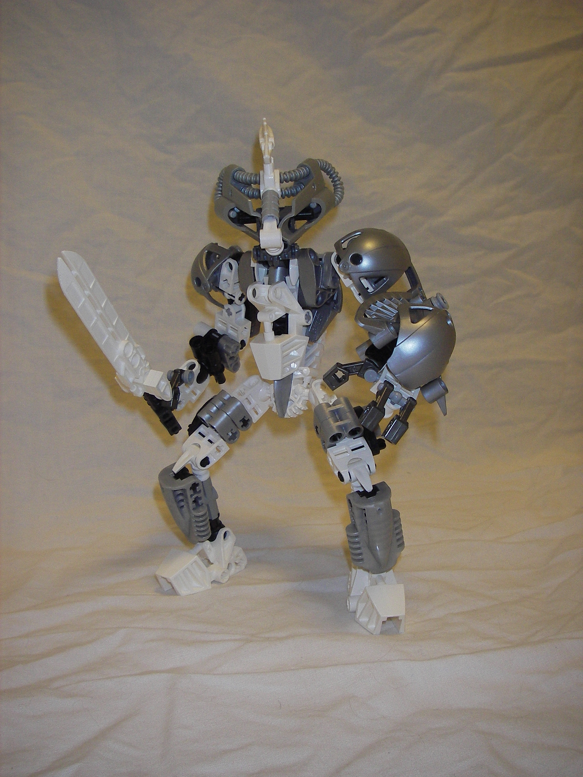 certavus.jpg