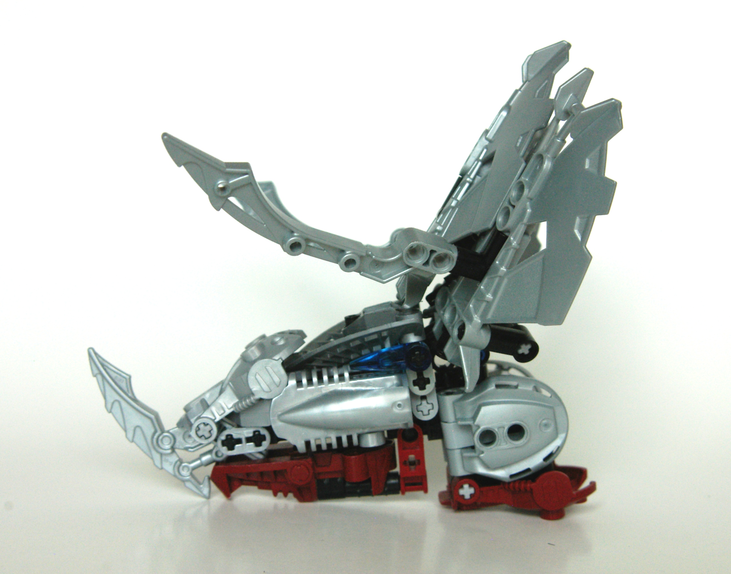 triceratops_15_-_copy.jpg