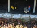 legoland-21.jpg