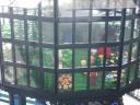 greenhouse-1.jpg