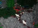 spiders.jpg