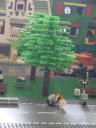 tree.jpg