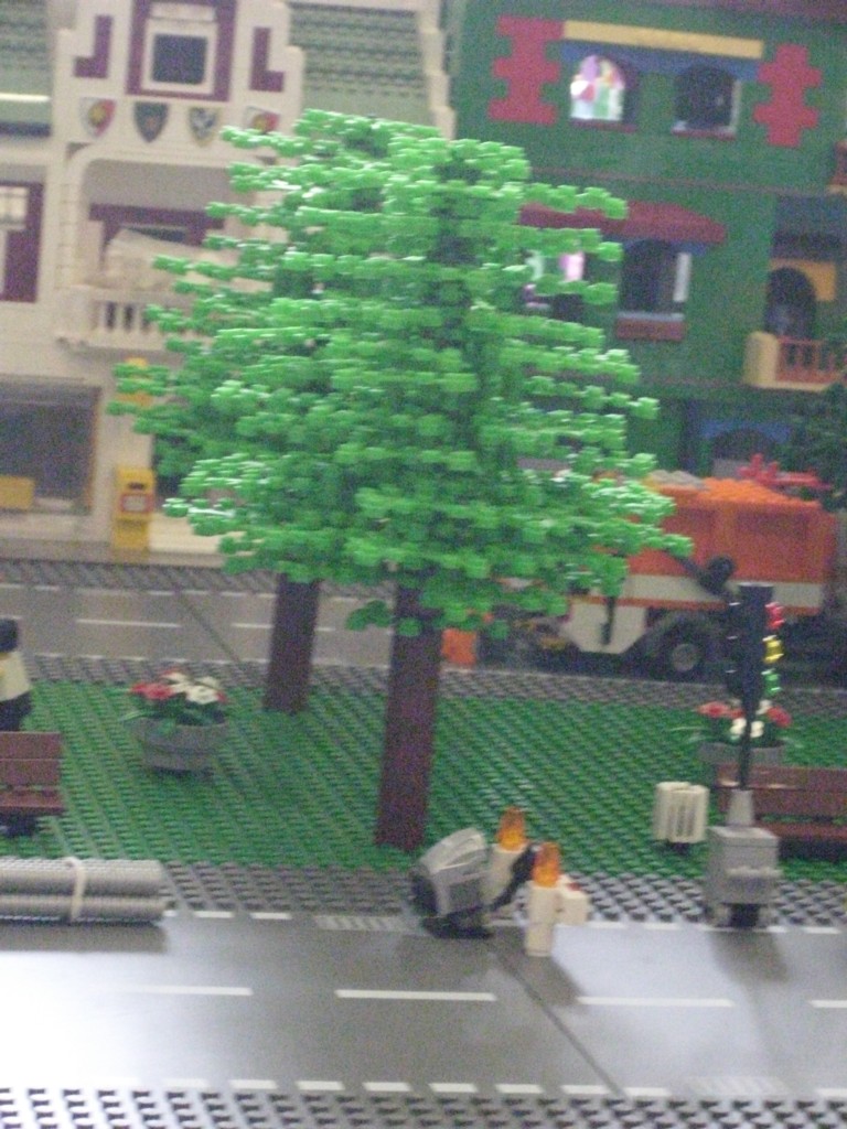 tree.jpg