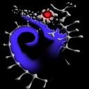 seahorse.png