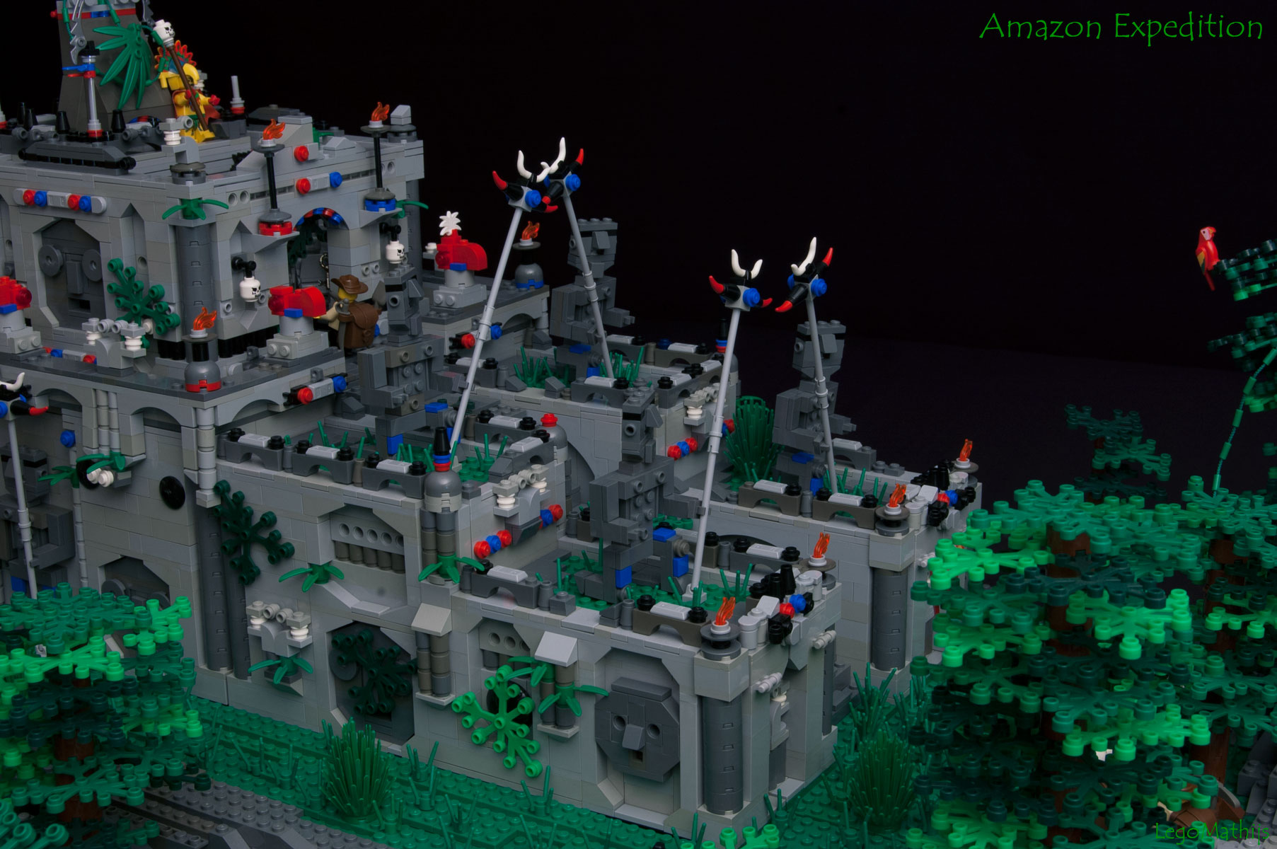 07_amazon_expedition.jpg