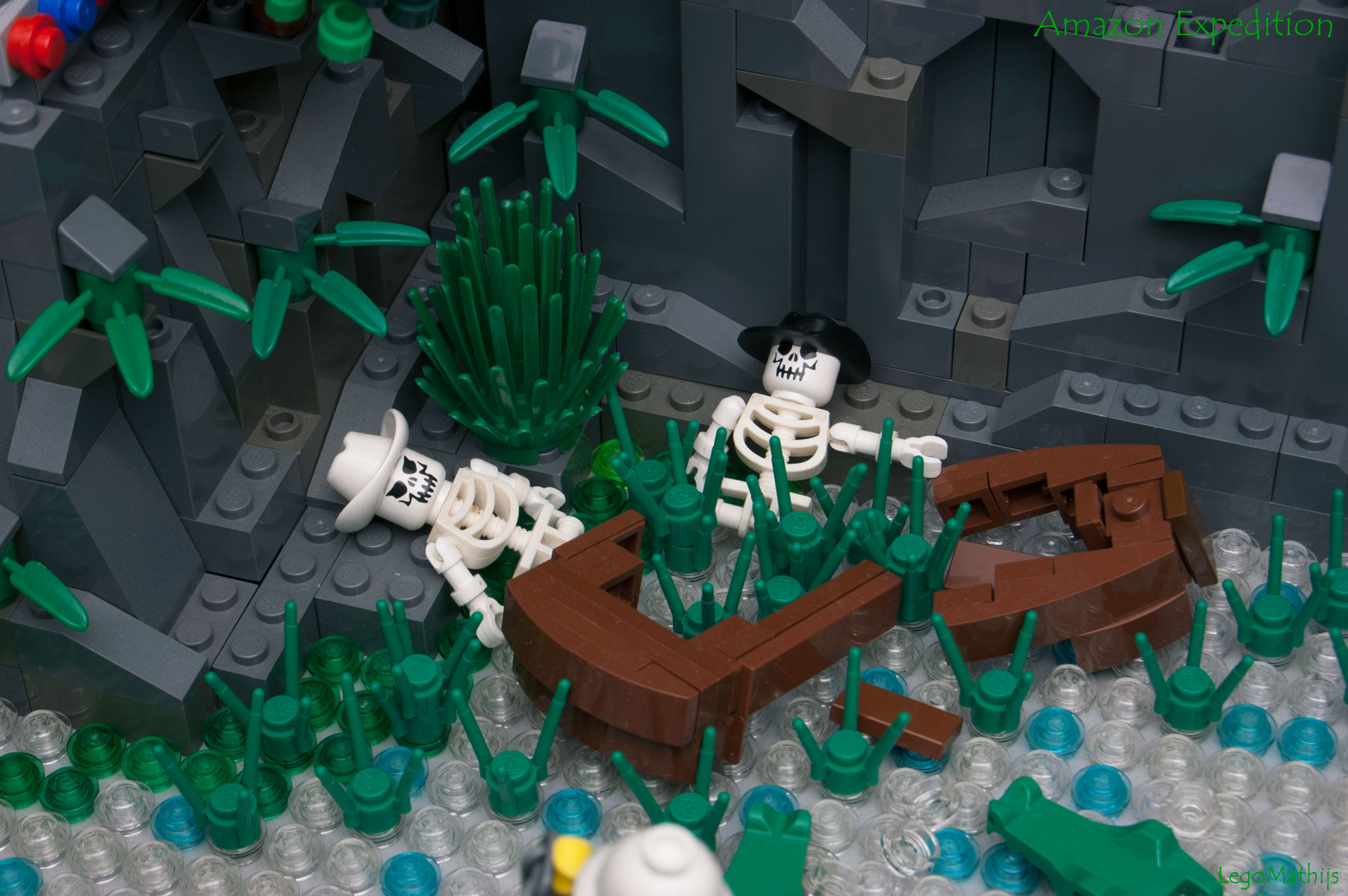 30_amazon_expedition.jpg