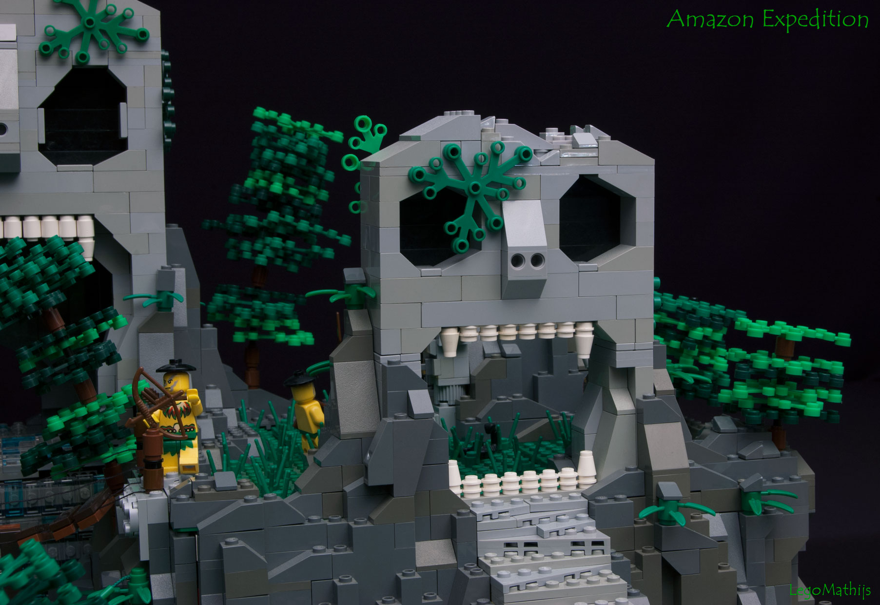 37_amazon_expedition.jpg