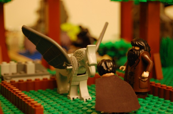 dsc_0512.jpg
