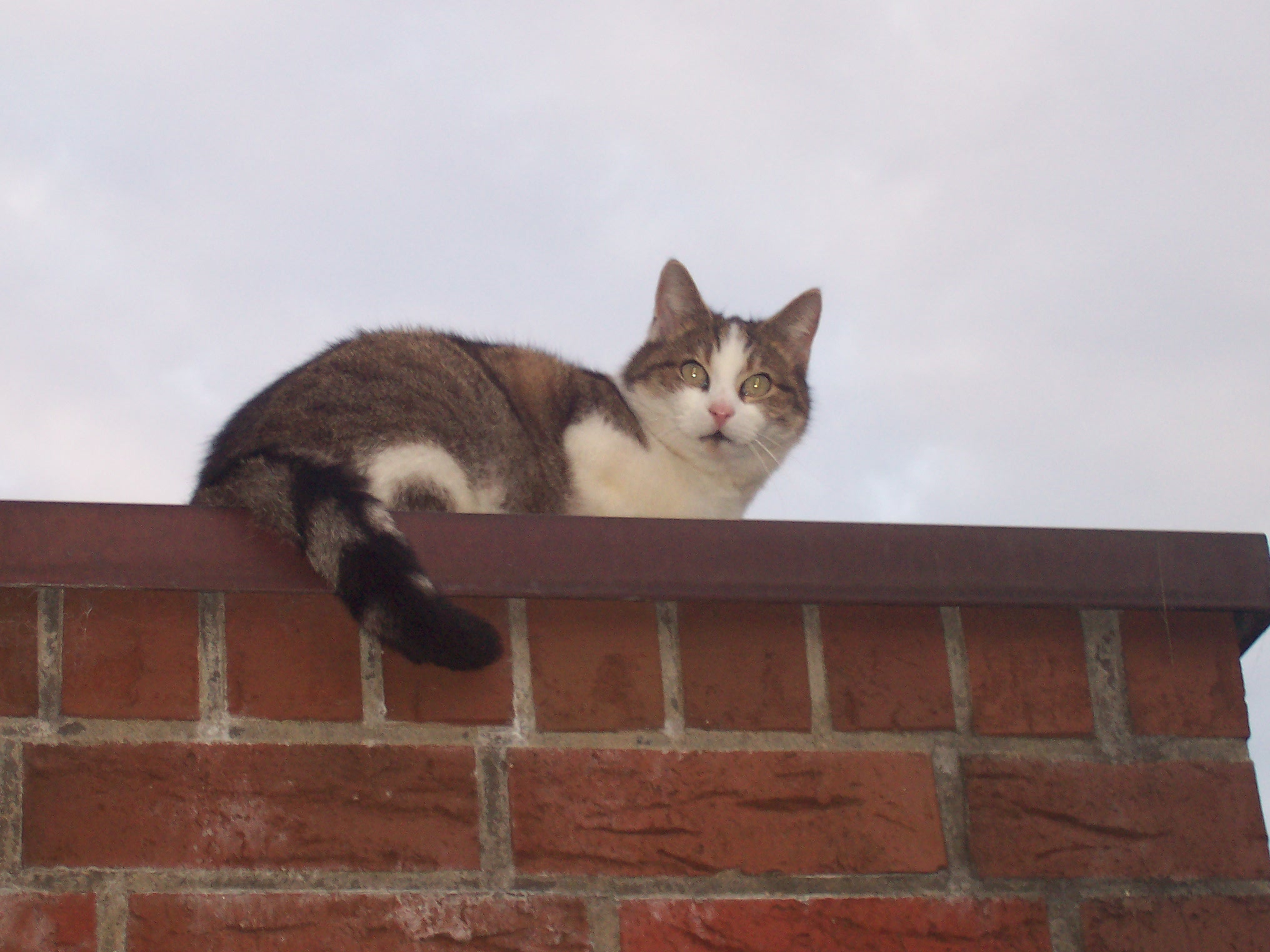 lok7939_007.jpg