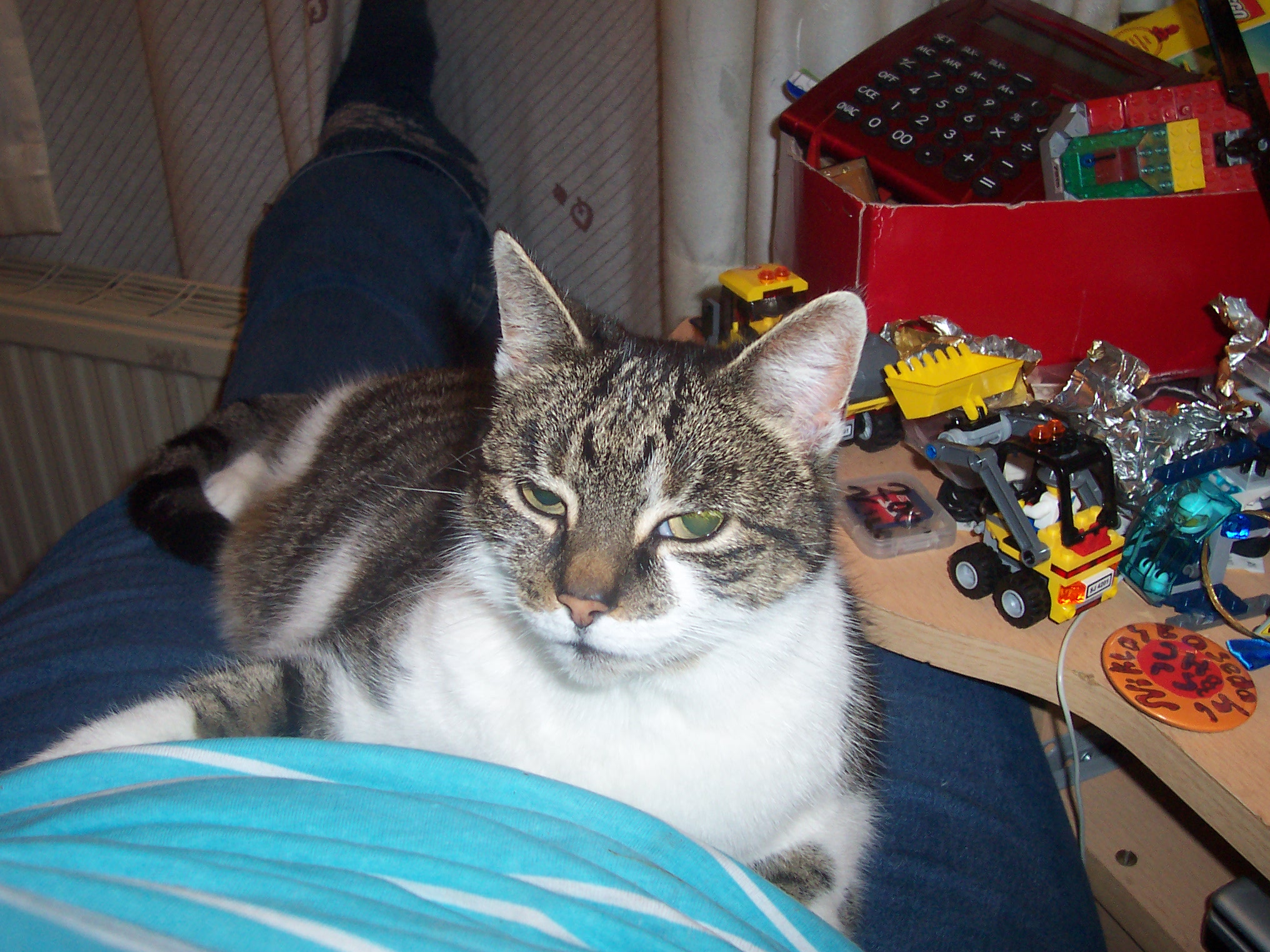 schuh_u.as_003.jpg