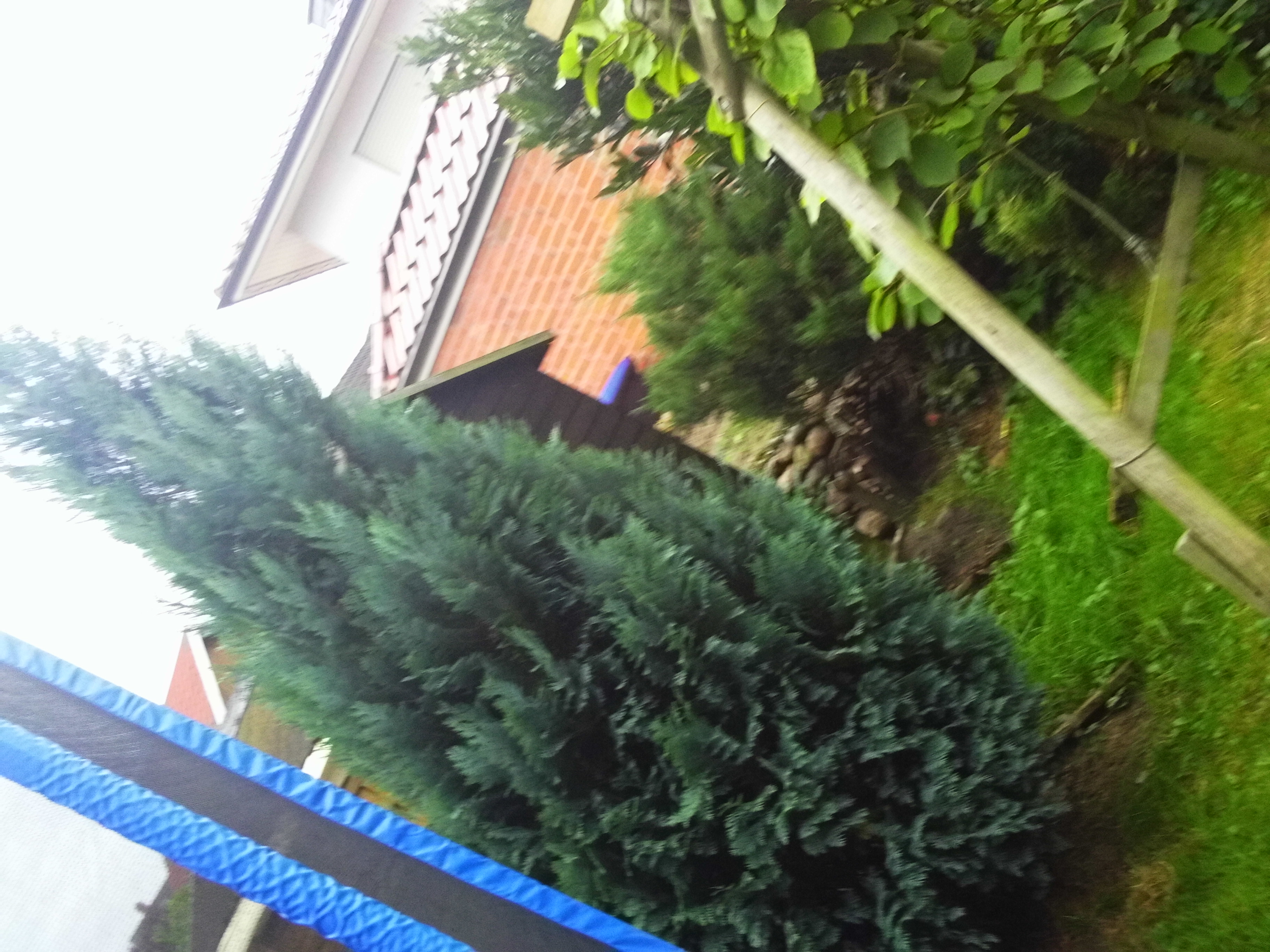 bilder_kamera_029.jpg