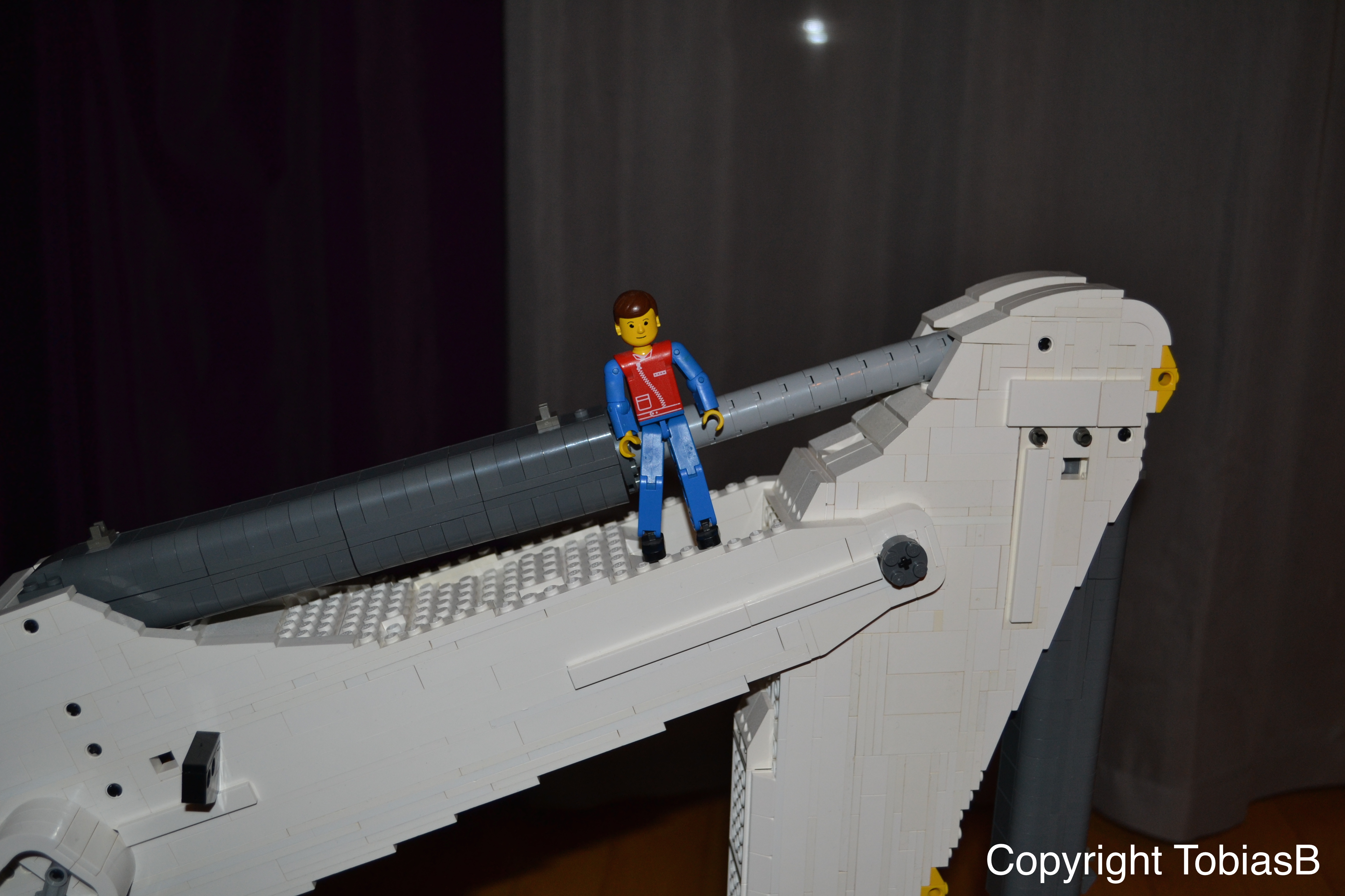 dsc_0244.jpg