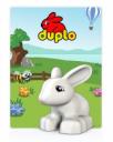 duplo.jpg