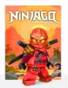 ninjago.gif