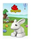 duplo.jpg