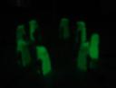 dsc07208.jpg