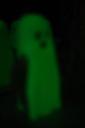 dsc07209.jpg