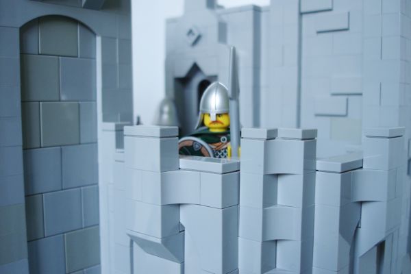 guard3.jpg