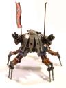 roach05.jpg
