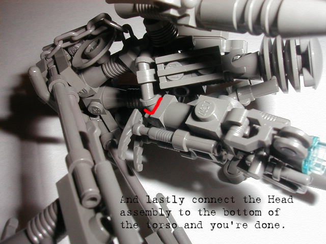 step20.jpg
