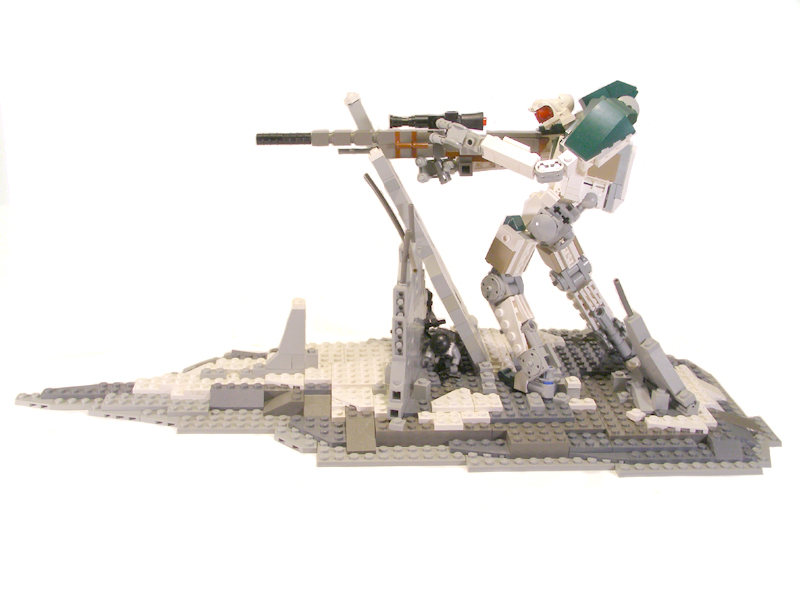 snipe02.jpg