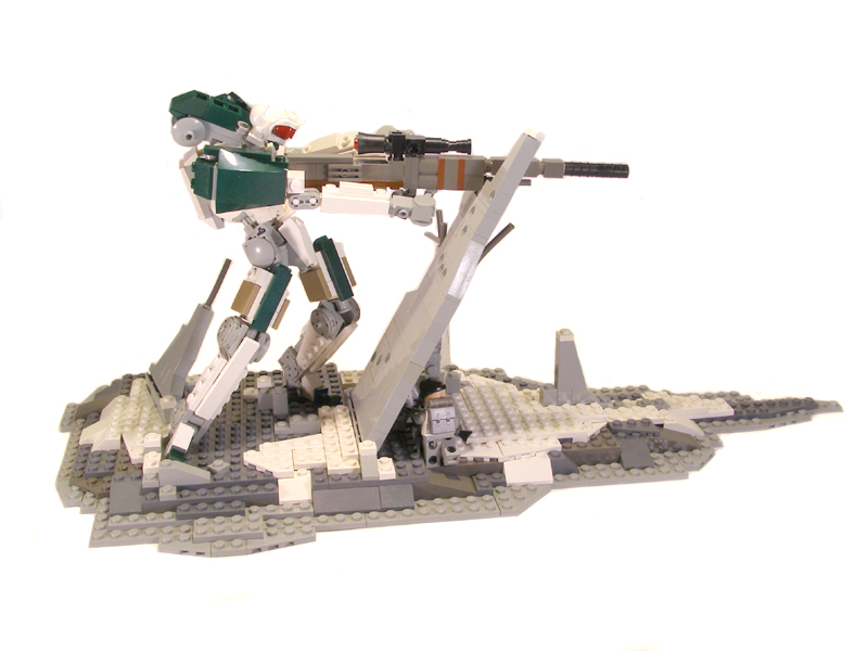 snipe06.jpg