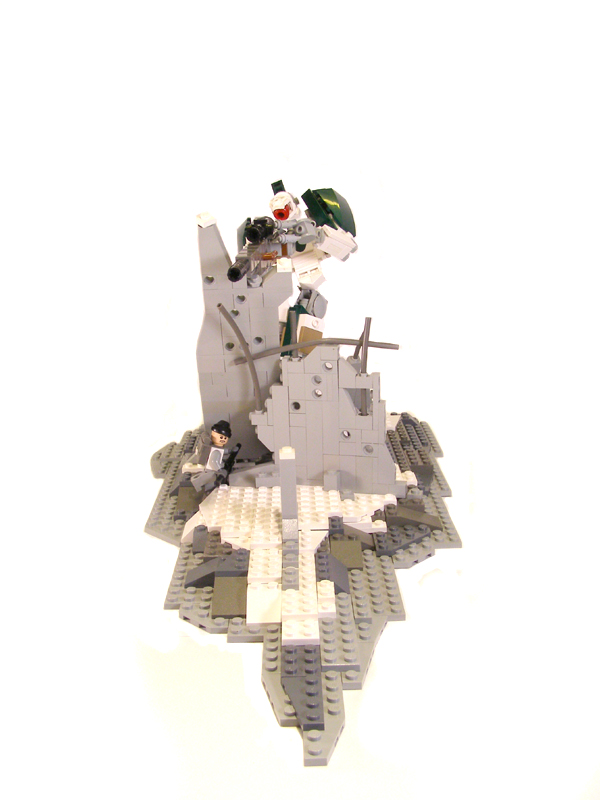 snipe08.jpg