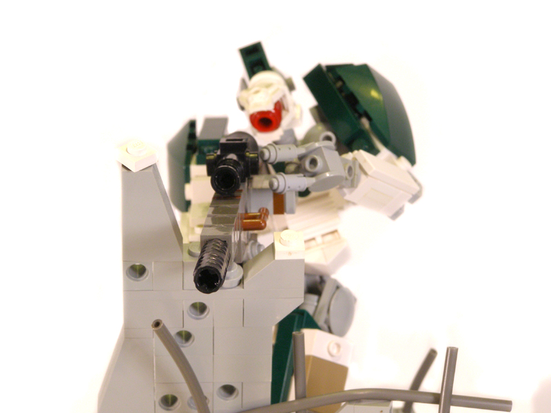 snipe11.jpg