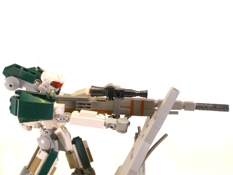 snipe14.jpg