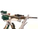snipe14.jpg
