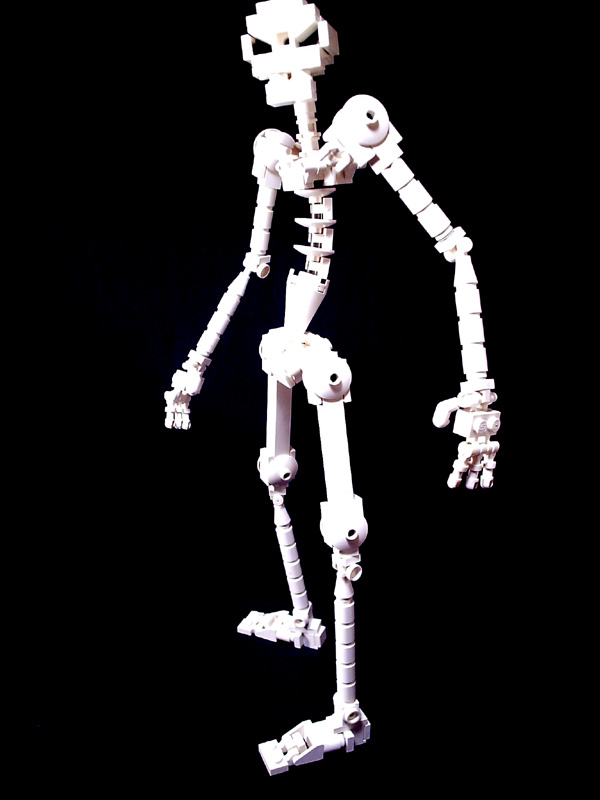 skeleton02.jpg