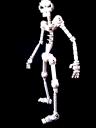 skeleton02.jpg