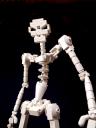 skeleton04.jpg