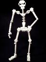 skeleton05.jpg