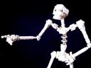 skeleton06.jpg