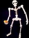 skeleton08.jpg
