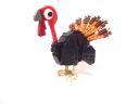 turkey01.jpg
