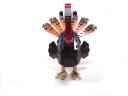 turkey05.jpg