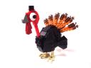 turkey07.jpg