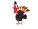 turkey08.jpg