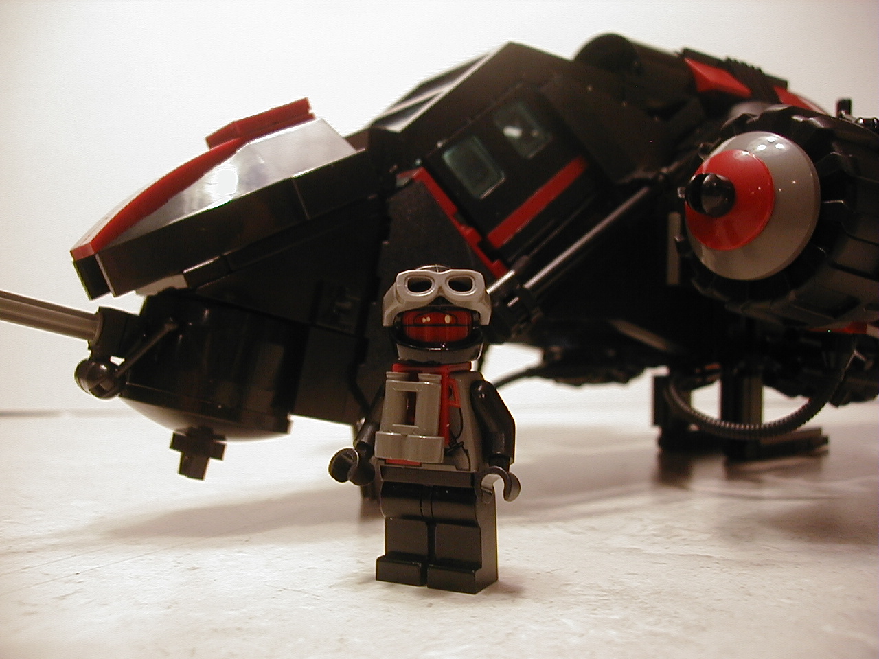 10crimsoncondor.jpg