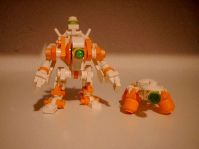cc_ag_turtle.jpg