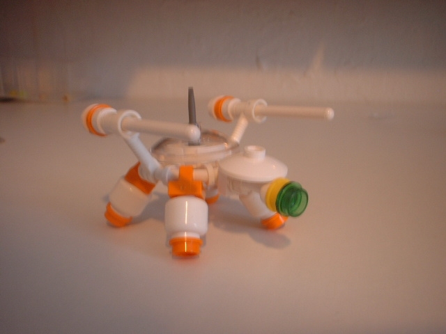 turtle-00.jpg