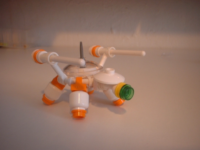 turtle_00.jpg