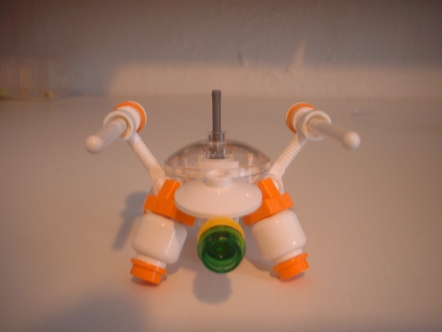 turtle_01.jpg