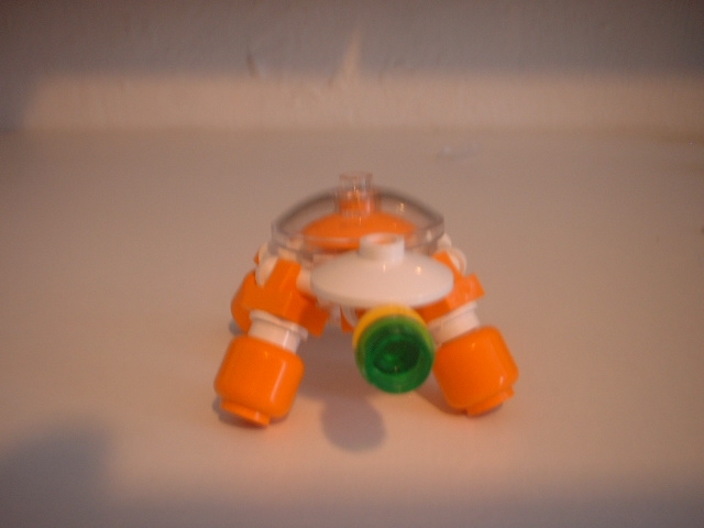 turtle_03.jpg